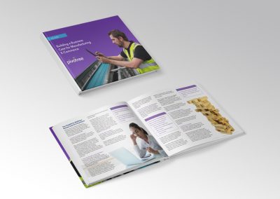 Building a Business Case for Manufacturing eCommerce