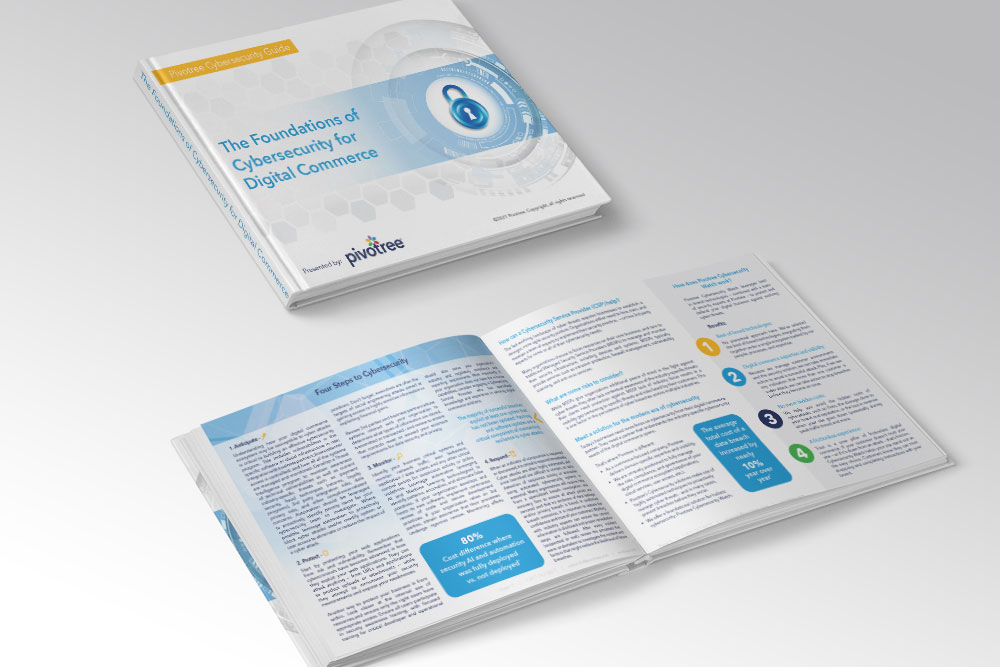 The Foundations of Cybersecurity for Digital Commerce