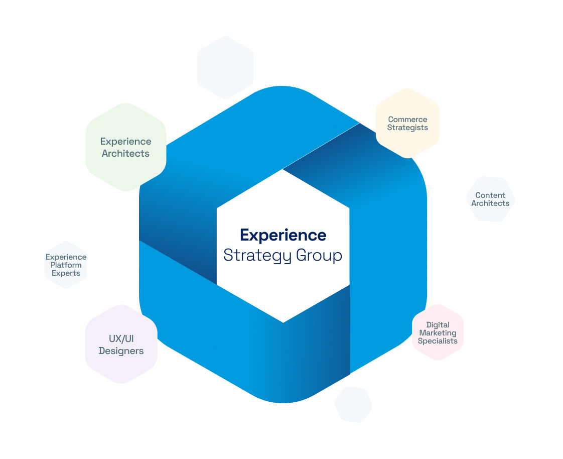 experience strategy group