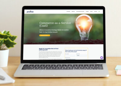 Commerce-as-a-Service (CaaS) White Paper