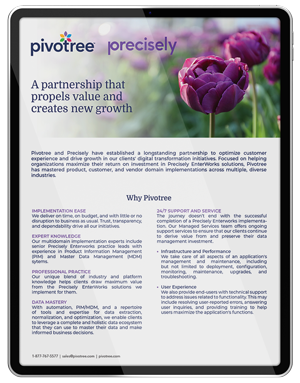 Precisely-SS-ipad-mockup