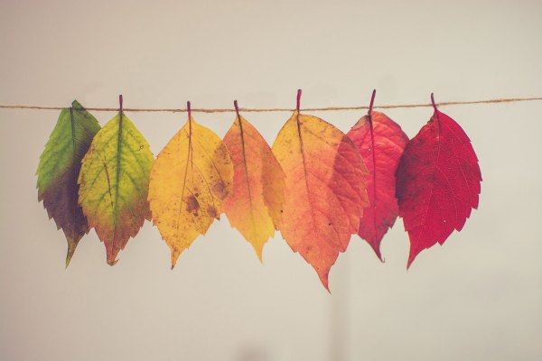 What Innovation and Growth Truly Mean for a B2B Manufacturer in a Suddenly Digitized Age